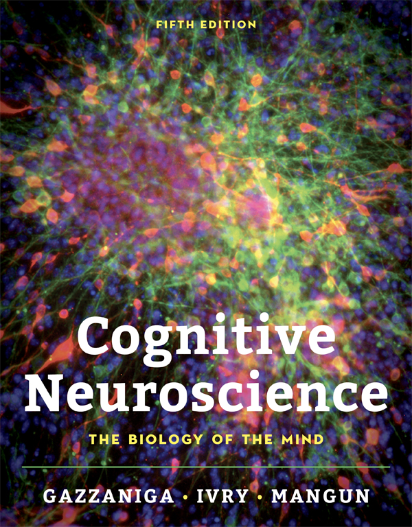 Ron Mangun and colleagues publish new edition of "Cognitive Neuroscience: The Biology of the Mind"