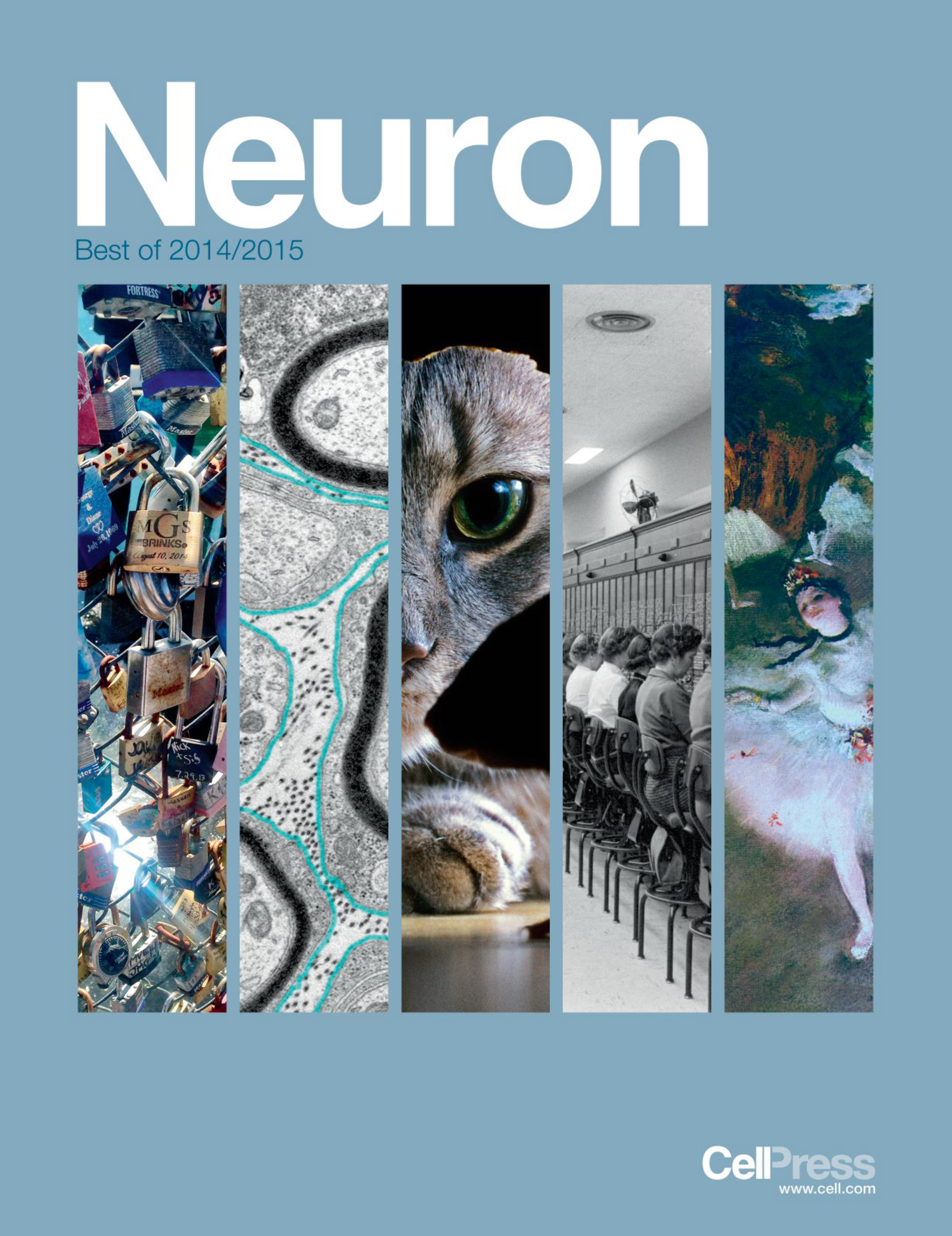 Two papers make 'Best of Neuron' list