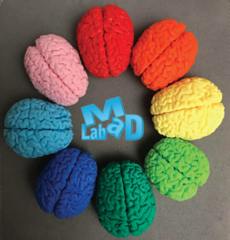 brain logo