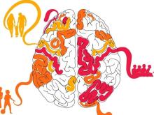 brain