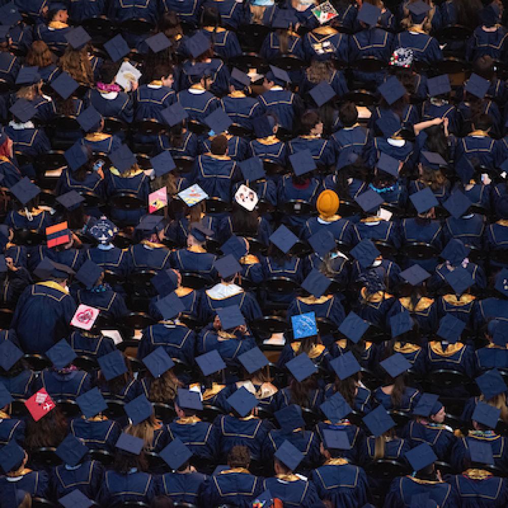 graduation caps seen from above